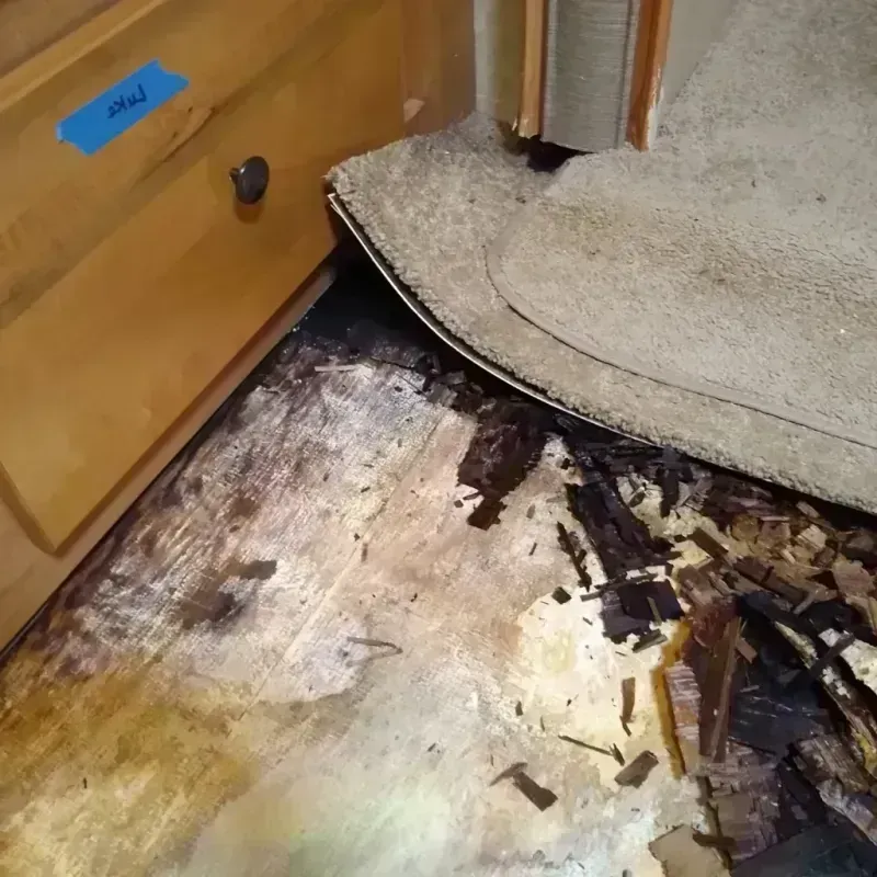 Wood Floor Water Damage in Davisboro, GA